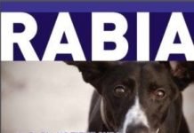 PREVENCIÓN: LA RABIA