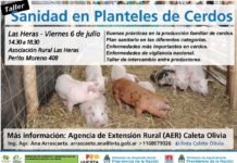 TALLER “SANIDAD EN PLANTELES DE CERDOS”