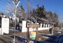 LA BASURA DESPARRAMADA POR LOS PERROS