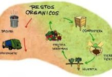 Ambiente: Poda de árboles e implementación de compostaje en Las Heras