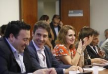 El Proyecto “Fiesta Nacional de la Estepa” fue aprobado en la Comisión de Cultura del Congreso