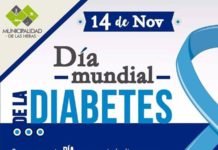 DIA MUNDIAL DE LA DIABETES