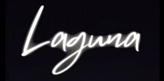 LAGUNA “PASEO DE LAS AMÉRICAS” , SEGÚN PASAN LOS AÑOS …